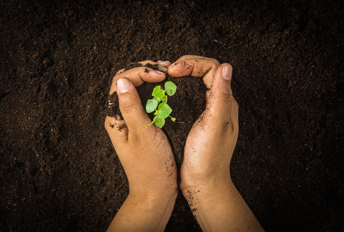 Why Ethical Sourcing is Critical for Your Business